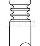 Soupape d'admission Opel Monza