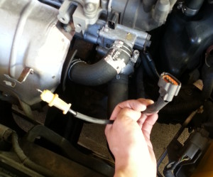 Thermostat Nissan Bluebird