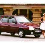 Feu clignotant Skoda Forman