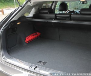 Chapeau de soupape Dacia 1309