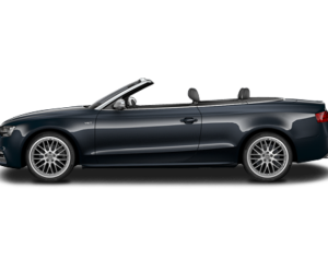 Jambe de suspension Audi Rs5