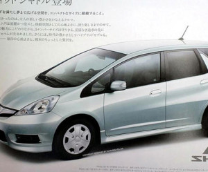 Jambe de suspension Honda Shuttle