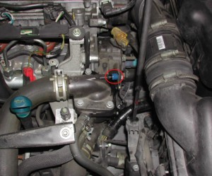 Tuyaux de liquide de refroidissement Peugeot 306